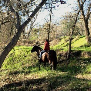 NO SHIPPING DURING COLD FRONTS